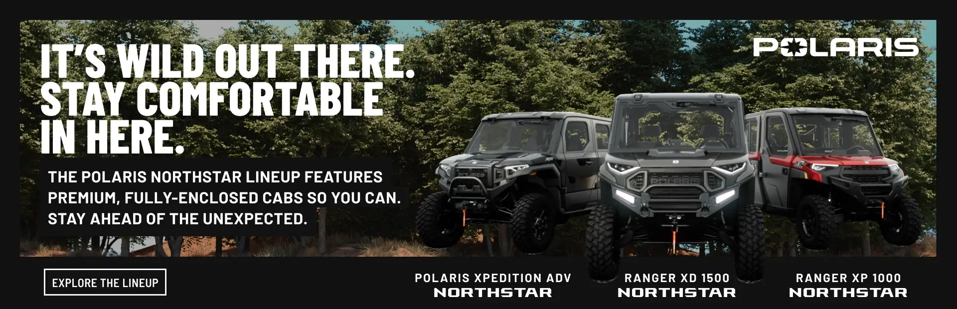 Polaris Offer 1